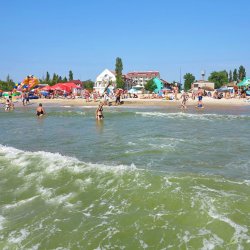 Семья Ревенко, Чабаны